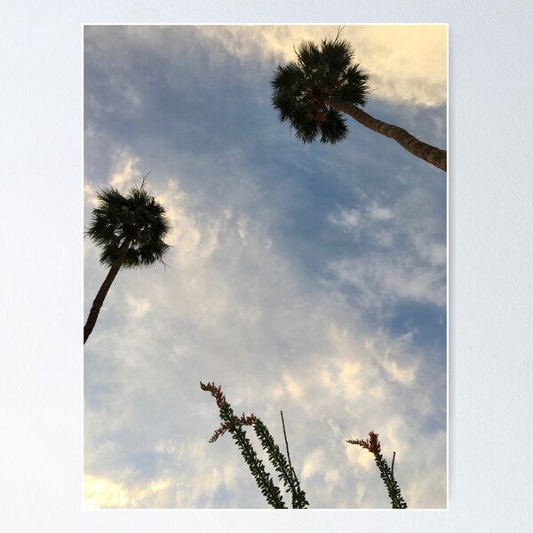 Item preview, Palms and Ocotillo cactus designed and sold by chalenica.