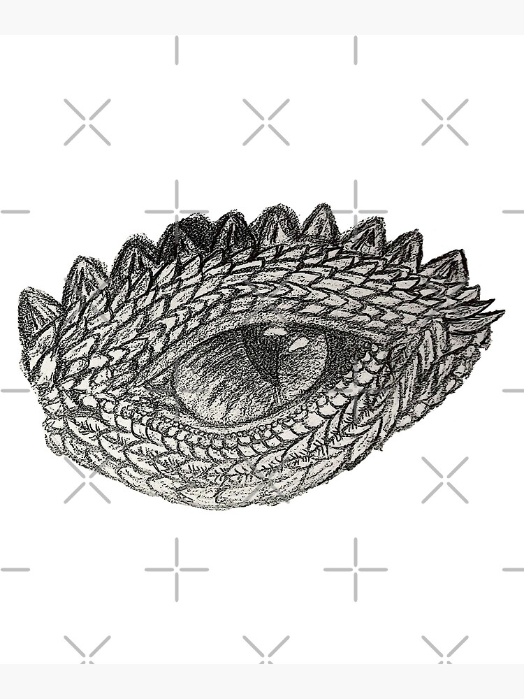 Dragon eye sketch, fierce and detailed image of mythical creature eye  features a slit pupil, surrounded by scaly skin and scales. Hand drawn  painting captures the intense look of a fiery reptile