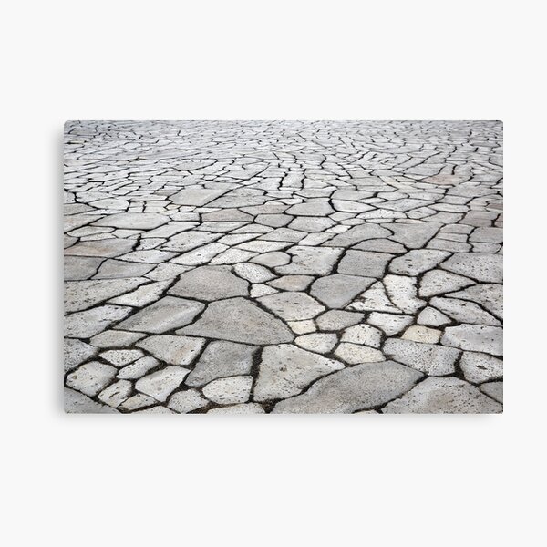 Stoned Canvas Print