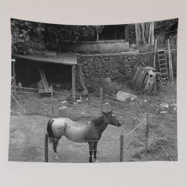 Item preview, 2014 Cavallo con Fiat 500 designed and sold by robertoferrero.