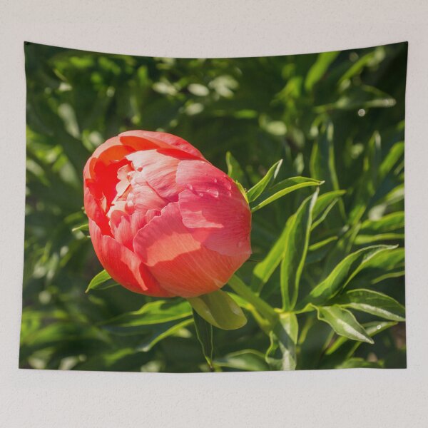 Item preview, Living Coral Coloured Peony - designed and sold by Georgia Mizuleva.