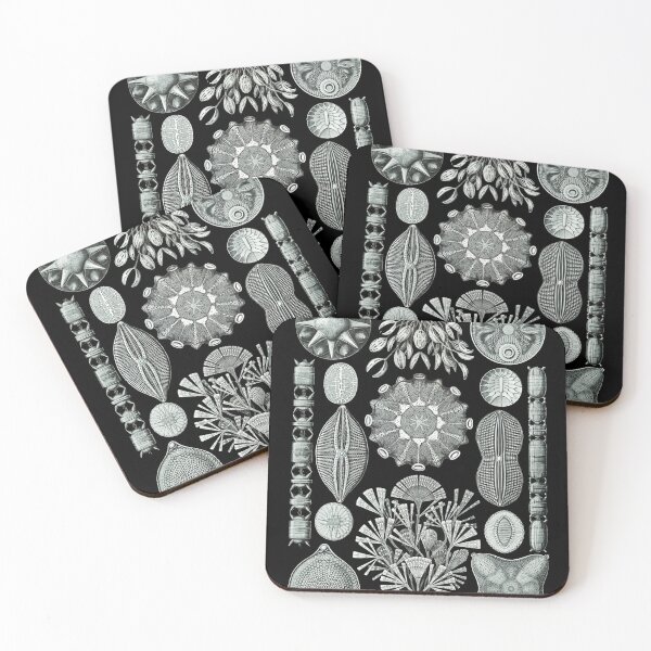 Item preview, Ernst Haeckel - Scientific Illustration - Diatomea designed and sold by ShaMiLaB.
