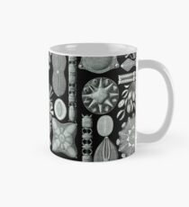 Ernst Haeckel - Scientific Illustration - Diatomea Mug