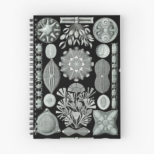 Item preview, Ernst Haeckel - Scientific Illustration - Diatomea designed and sold by ShaMiLaB.