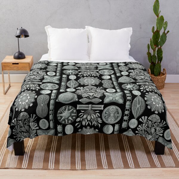 Item preview, Ernst Haeckel - Scientific Illustration - Diatomea designed and sold by ShaMiLaB.