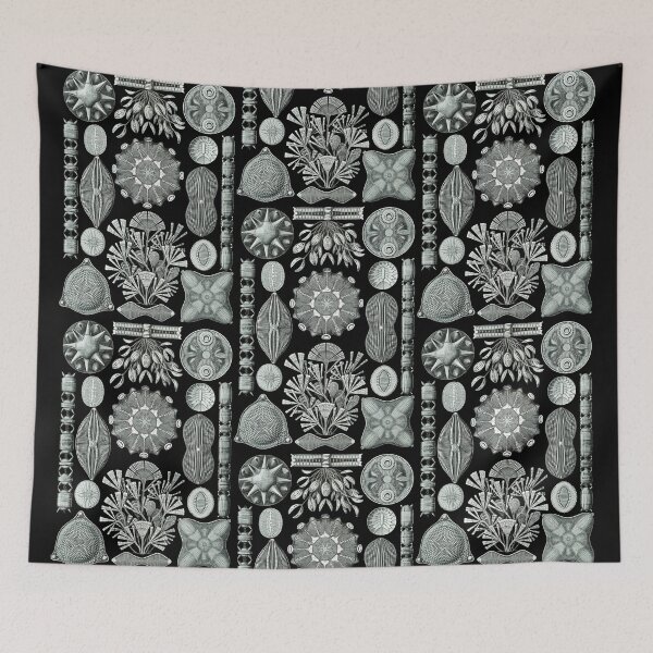 Item preview, Ernst Haeckel - Scientific Illustration - Diatomea designed and sold by ShaMiLaB.