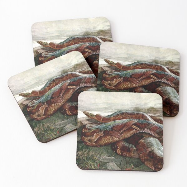 Item preview, Jungle Book - Kaa the Python - Detmold Brothers designed and sold by forgottenbeauty.