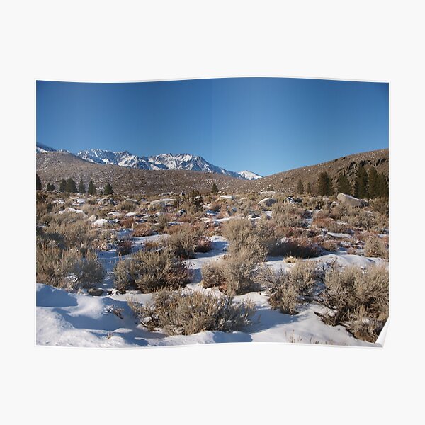 More Snow in the Desert Poster