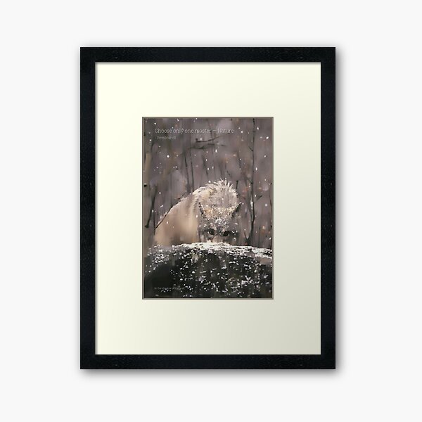 Framed Print