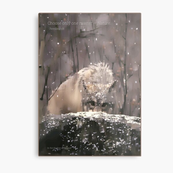 Metal Print