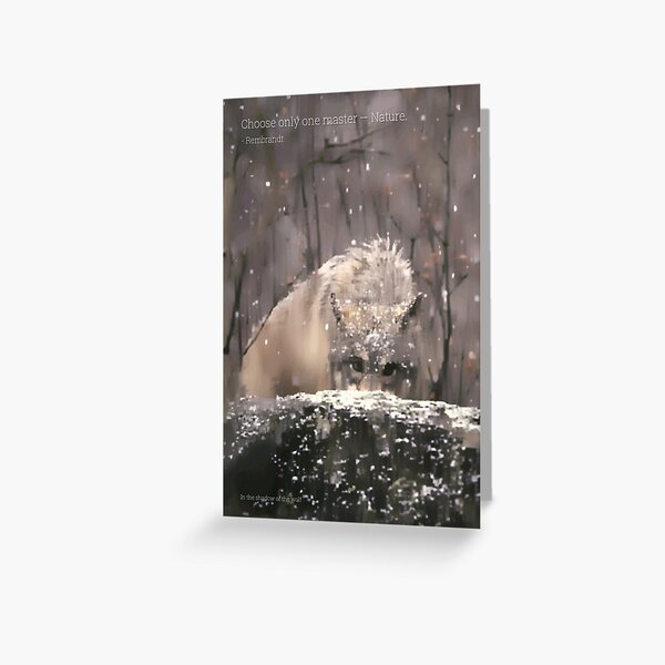 Greeting Card