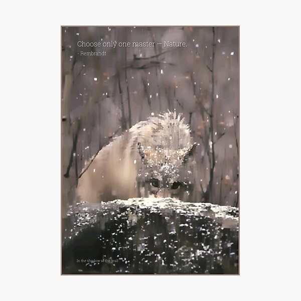 Photographic Print