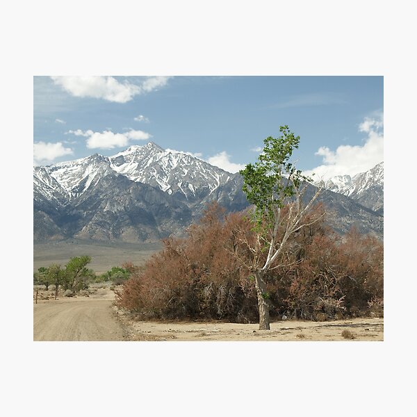Sierra Nevada Range behind Manzanar Photographic Print