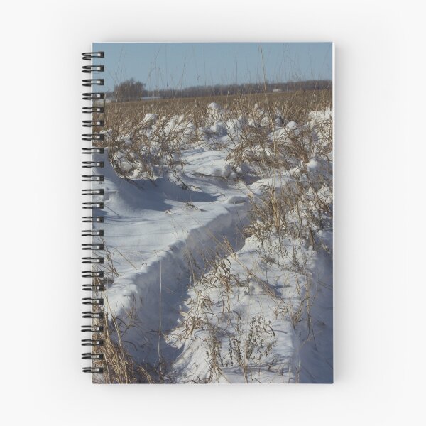 Aperçu de l'œuvre Track's in the Snow in Kansas créée et vendue par ROBERTDBROZEK.