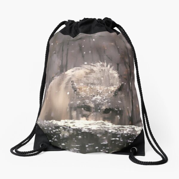Drawstring Bag