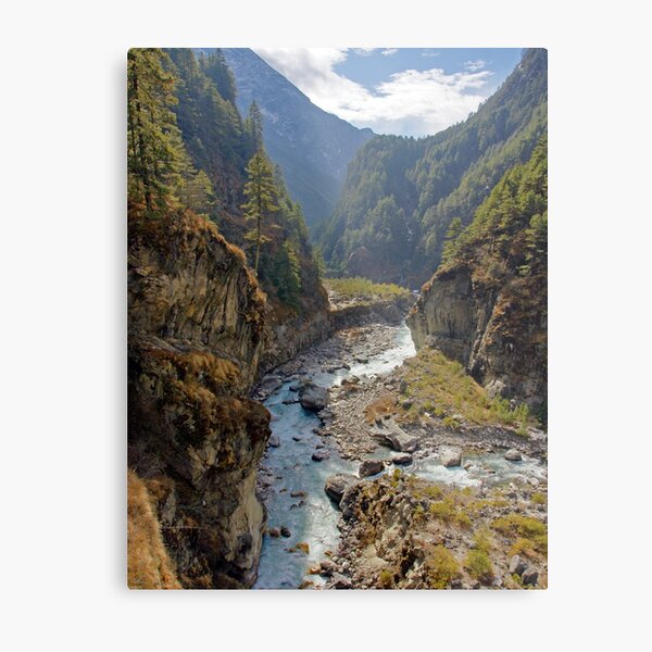 Wild River Metal Print