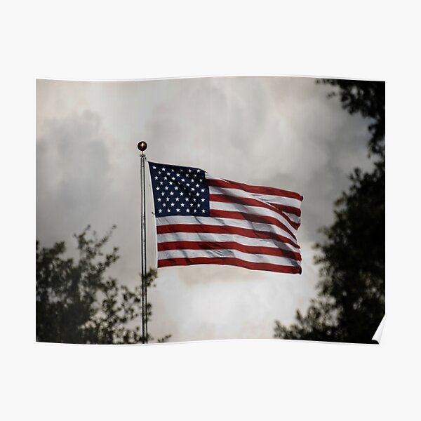 US Flag waving at STS-129 Launch Poster
