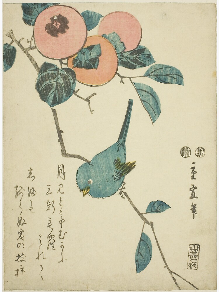 "Japanisches Weißauge und Kaki" Magnet von woodblockmuseum | Redbubble