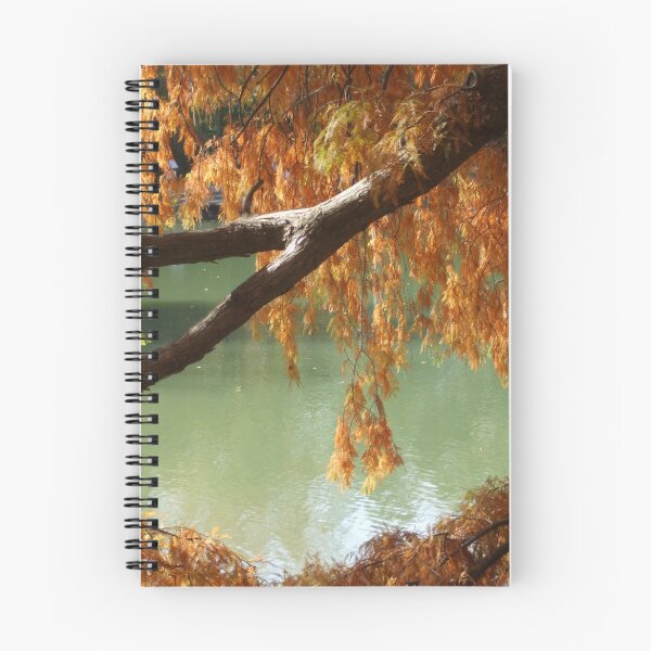 Item preview, Colorful Fall Bald Cypress designed and sold by ROBERTDBROZEK.