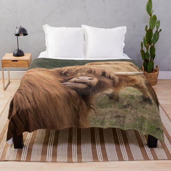Item preview, Funny Scottish Highland cow designed and sold by HaleyRedshaw.