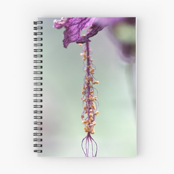 Item preview, dry flower hanging on tree designed and sold by ralick.