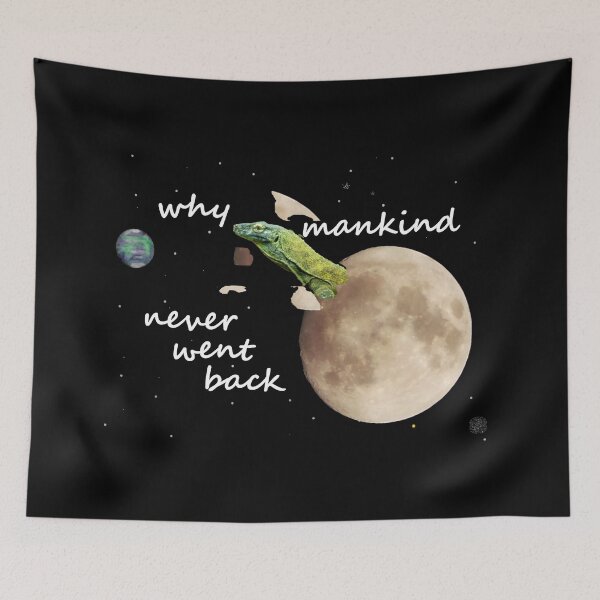 Item preview, why mankind never went back to the moon designed and sold by 6059.
