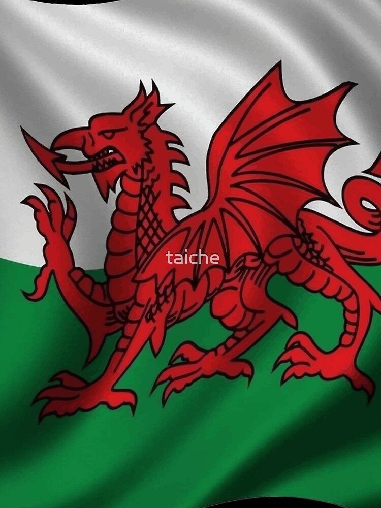 Y Ddraig Goch Welsh Flag Rugby Union by taiche