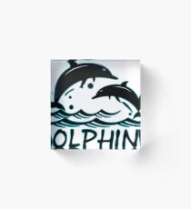 dolphins, animal, sea, water, ocean, freedoom Acrylic Block