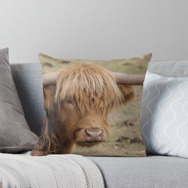 Item preview, Big hairy Scottish Highland cow designed and sold by HaleyRedshaw.