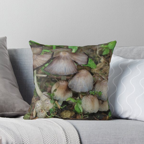 Item preview, Mushroom close up in a Yard designed and sold by ROBERTDBROZEK.