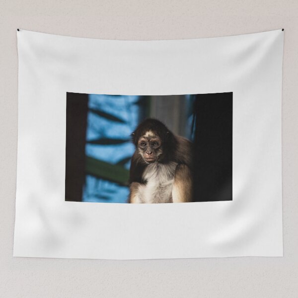 Item preview, monkey designed and sold by KimmiDallimore.