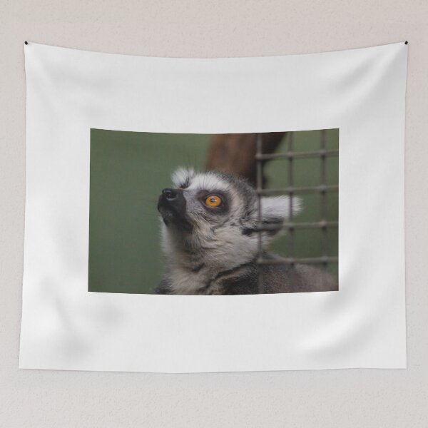 Item preview, Lemur designed and sold by KimmiDallimore.