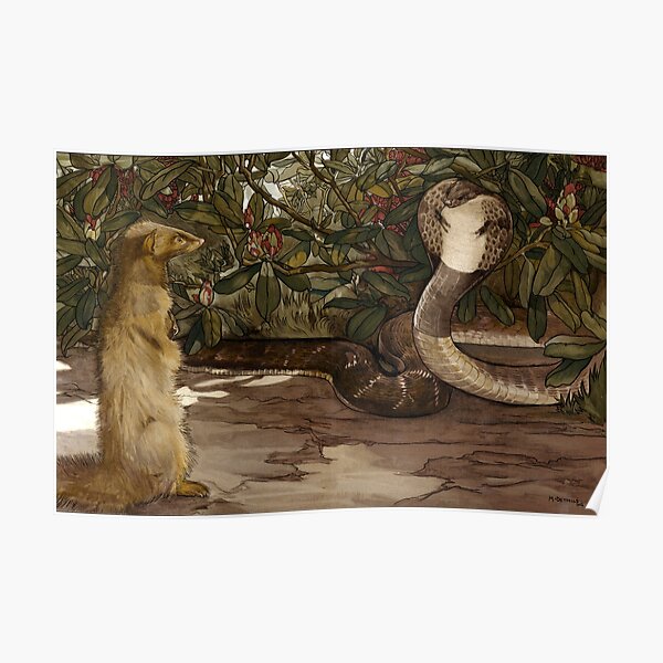 Dschungelbuch - Rikki Tikki Tavi - Gebrüder Detmold Poster