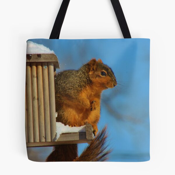 Aperçu de l'œuvre FOX TAIL SQUIRREL créée et vendue par ROBERTDBROZEK.