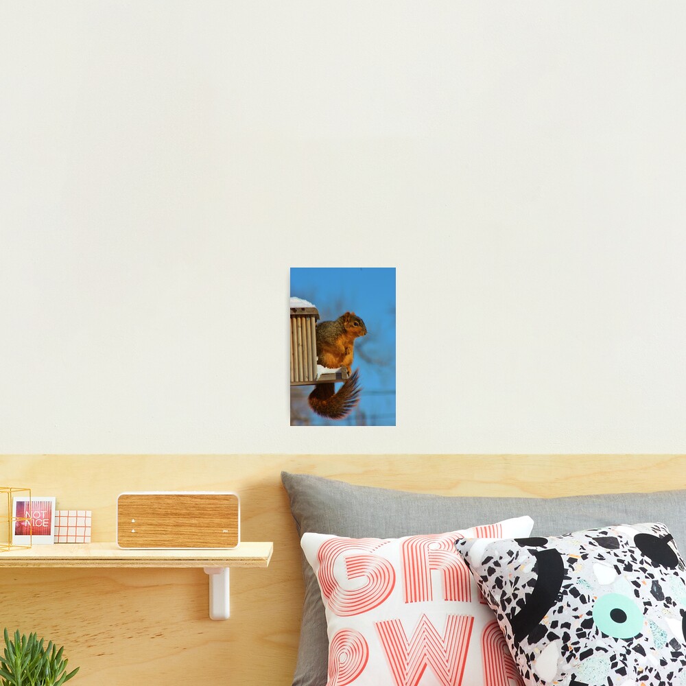 Item preview, Photographic Print designed and sold by ROBERTDBROZEK.