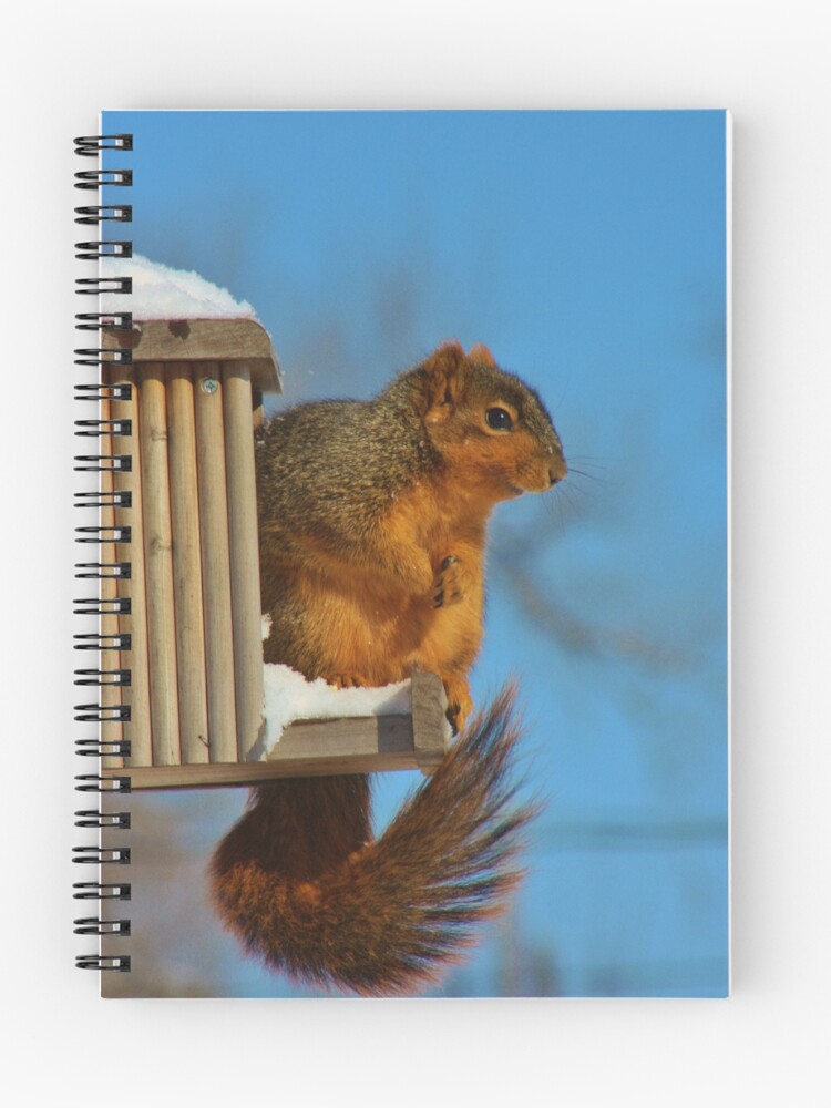 Thumbnail 1 of 3, Journal, FOX TAIL SQUIRREL designed and sold by ROBERTDBROZEK.