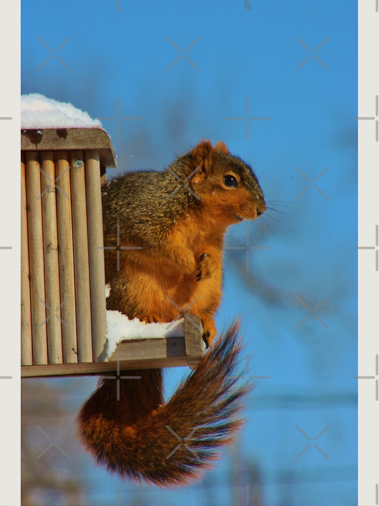 Thumbnail 6 von 6, Premium Oversized Pullover, FOX TAIL SQUIRREL designt und verkauft von ROBERTDBROZEK.