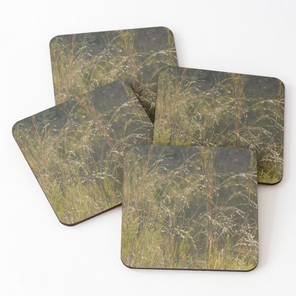 Item preview, Morning Sunlight On Sweet Grass designed and sold by Zina Stromberg.
