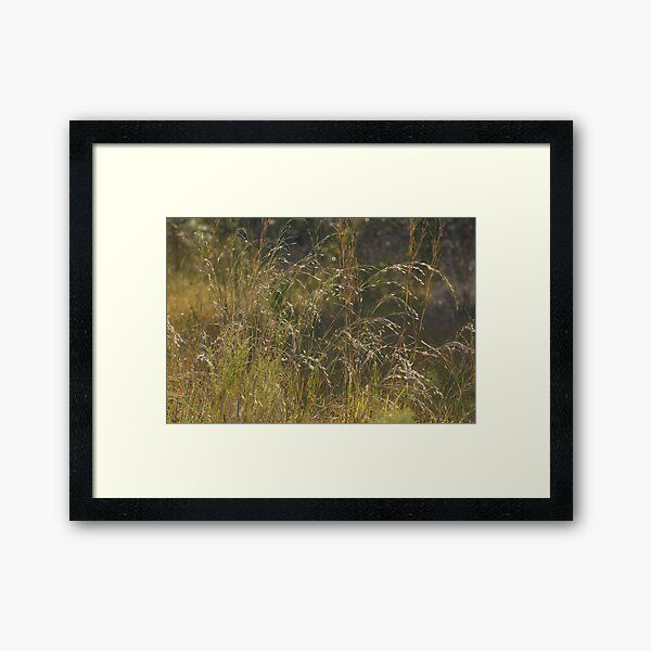 Item preview, Morning Sunlight On Sweet Grass designed and sold by Zina Stromberg.