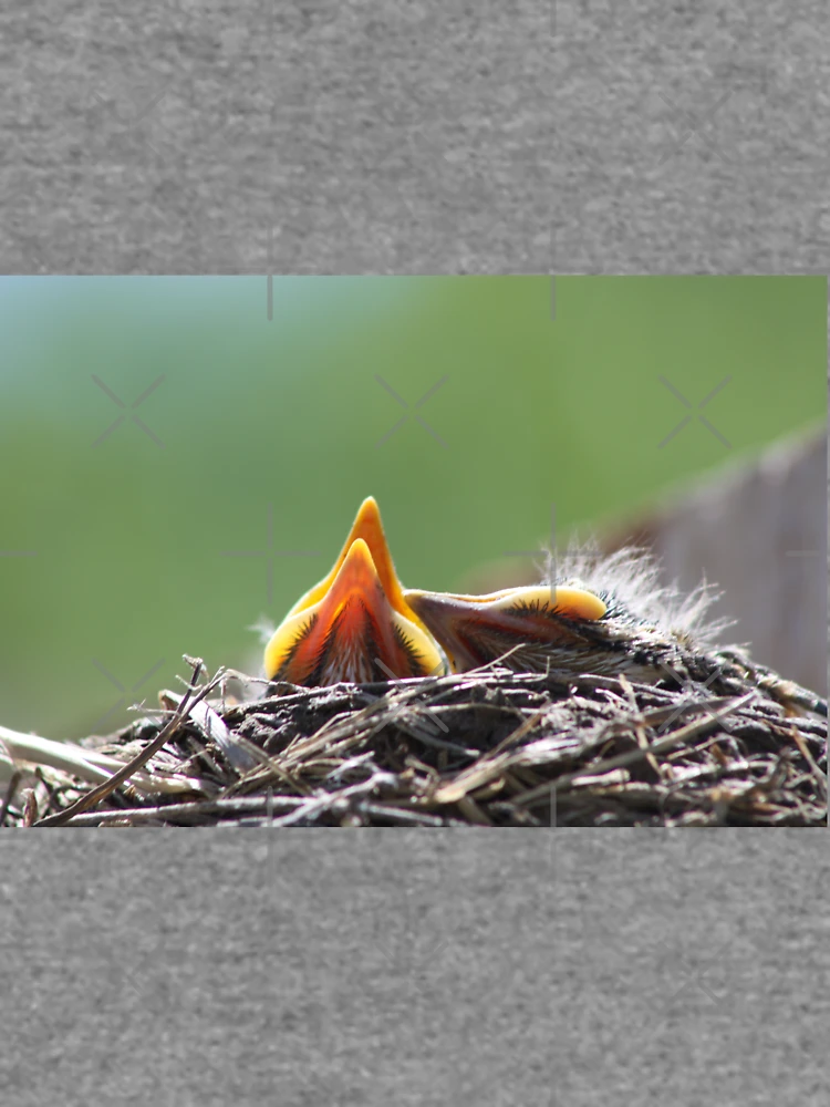 Thumbnail 6 von 6, Leichter Pullover, Lunch Time designt und verkauft von ROBERTDBROZEK.