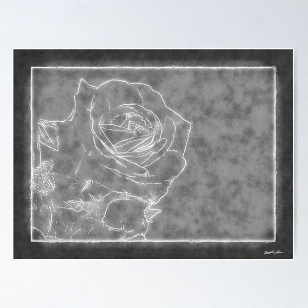Item preview, Pink Roses in Anzures 1 Outlined Gray designed and sold by TravelPhotoArt.