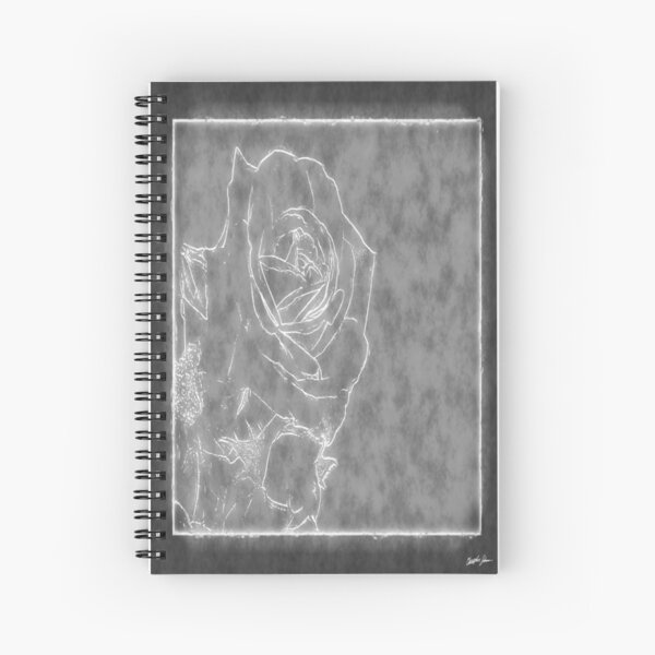 Item preview, Pink Roses in Anzures 1 Outlined Gray designed and sold by TravelPhotoArt.