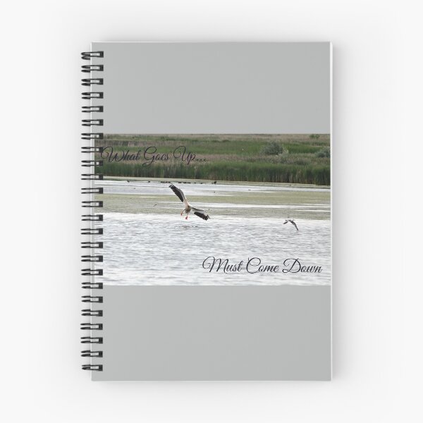Item preview, Learning to Land designed and sold by Sandy Shiner-Swanson.
