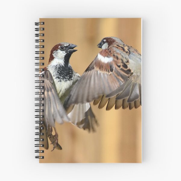Item preview, Featherweight Fighters designed and sold by Holmewood.