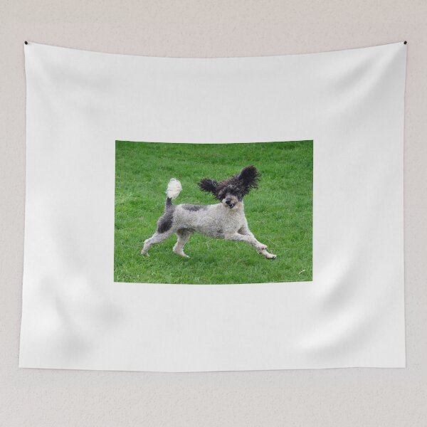 Item preview, Poodle designed and sold by Holmewood.