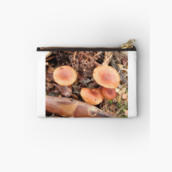 Item preview, Orange Fungi, Crater Lake Falls, Cradle Mountain, Tasmania, Australia. designed and sold by kaysharp.