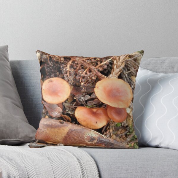 Item preview, Orange Fungi, Crater Lake Falls, Cradle Mountain, Tasmania, Australia. designed and sold by kaysharp.