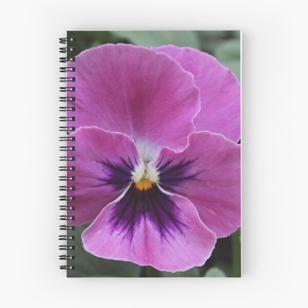 Item preview, Dusky Pink designed and sold by wovenbright.