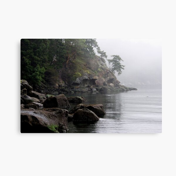Metal Print