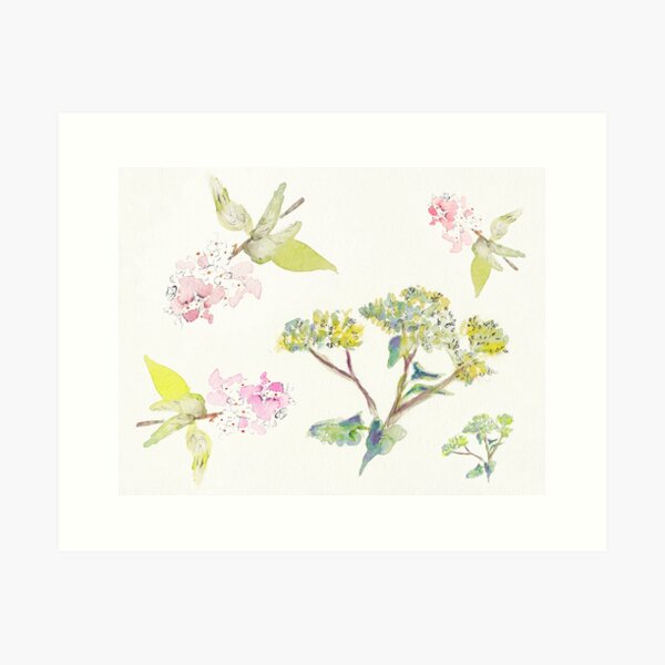 Summer Flowers Art Print